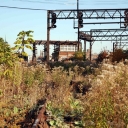 Catenary