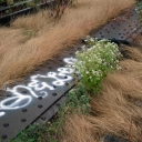 Graffiti