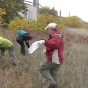 native-seed-collection
