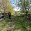 railpath-janes-walk-2008-on-top-of-rp-bridge-over-bloor-st-looking-south