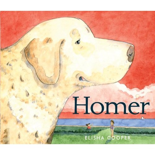 Homer, by Elisha Cooper