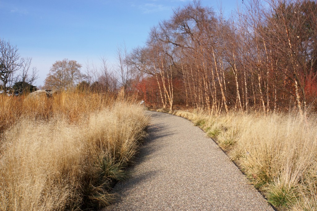 Native Plant Garden at the New York Botanical Garden