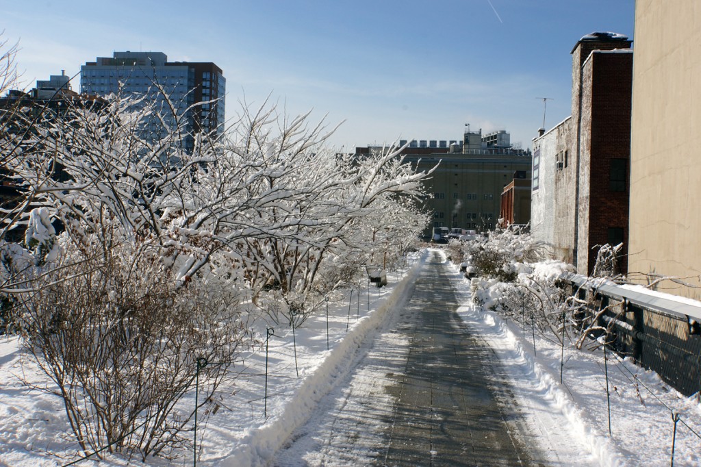 Chelsea Grasslands, looking south from the Thicket