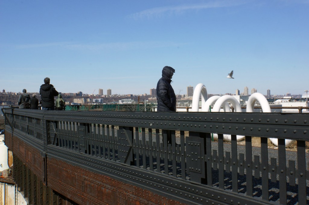 Ben Cacace of eBird.org (at left) tracks a seagull in the High Line at the Rail Yards